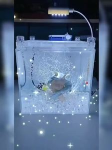 Cảnh quan bể cá đá cát tự nhiên đá cuội nuôi cá đá hoa mưa đá sinh thái bể cá đá cát sông sinh thái đá đáy bể rùa