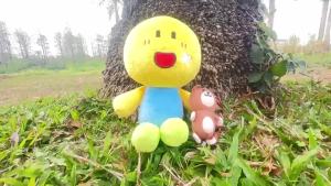 Dễ Thương Noobsquad Nooby Sang Trọng Với Gấu Thú Nhồi Bông Quà Tặng Sưu Tập