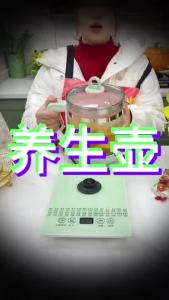 【SG STOCK】Electric Health Teapot 1.8L Multi-function Electric Kettle 24 Menus Thick Glass Kettle Boiling Water 養生壺 迷你