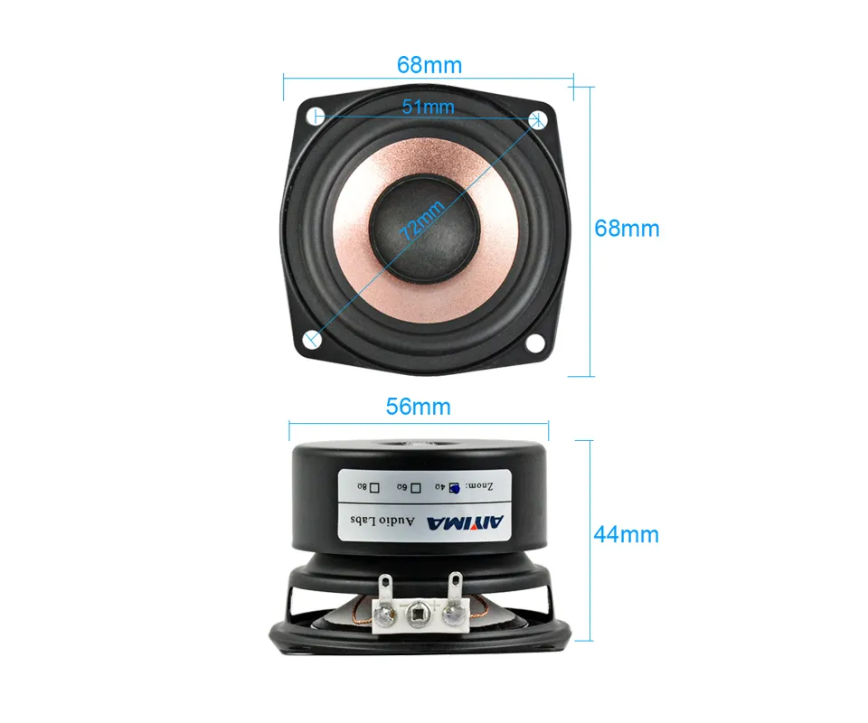 Aiyima full range store speaker