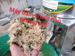 Máy băm xay chuốirau nhỏ làm thức ăn chăn nuôi gia cầm