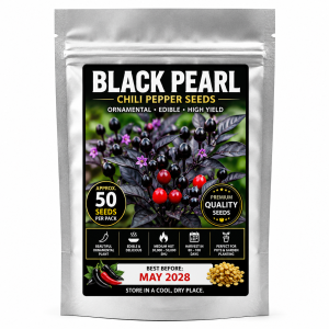 Black Pearl Chili Pepper Seeds Approx. 30 Seeds Per Pack Ornamental Hot Pepper Seeds