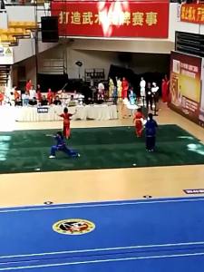 Martial Arts Clothing Practice Uniform Instructor Uniform Performance Men Kung Fu Performance Uniform Tai Chi Women Sports Meet Dragon Dance Physical Examination Competition