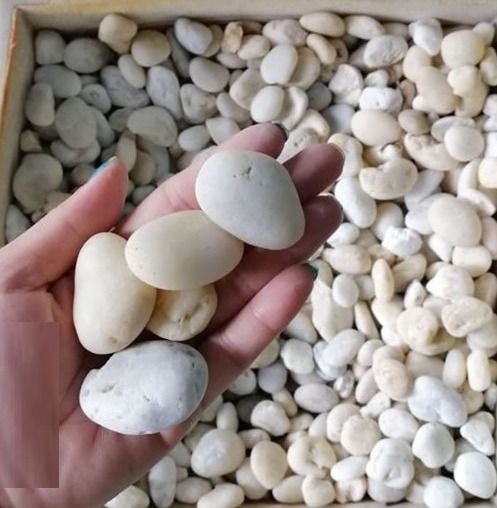 หินแม่น้ำสีขาว เบอร์ 2 สำหรับตกแต่งตู้ปลาและ DIY