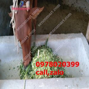 Mua máy băm cỏ voi 11kw  tại sì gòn giá rẻ nhất