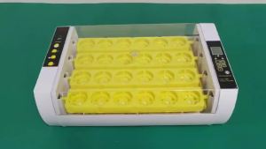 精品HHD 孵化器小型家用型全自动智能控温鸡鸭鹌鹑鸟蛋乌龟爬宠孵蛋器