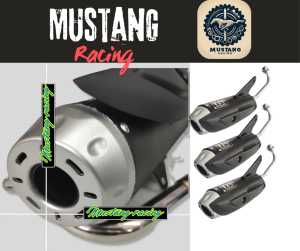 Knalpot Copy TZM Honda BEAT FI