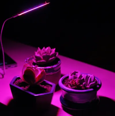 Đèn led quang hợp trồng cây trong nhà cắm cổng usb