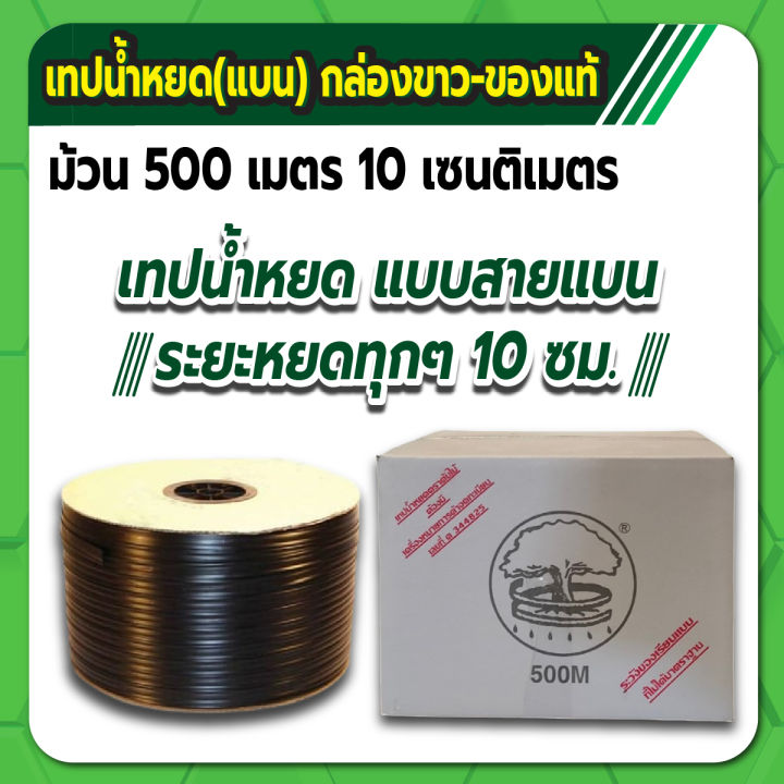 10 อันดับ เทปน้ำหยดและอุปกรณ์ที่ดีที่สุดสำหรับสวนของคุณ อัปเดตปี 2025