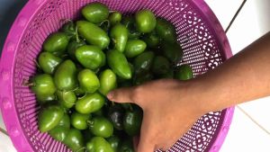 Cabe Gendot 500 Gram