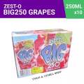 ZESTO BIG READY TO DRINK JUICE 250ML 1 BOX (10 PCS) CHOICE YOUR FLAVOR ...