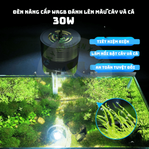 [Rẻ vô địch] Đèn Lon Đèn dowlight WRGB Giúp lên màu cá không đỏ nước Thúc đẩy cây thuỷ sinh phát triền