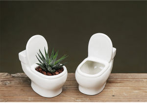 [Local Ready Stock] Cute Epic and Exciting Gardening Pot with Interesting Image like Duck /Cat / Elephant & Exotic Toilet Ideal for gifts and Souvenir
