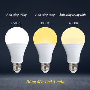 Bóng đèn Led 3 màu Trắng/Vàng/Trung tính công suất 5W/7W/9W/12W ĐỨC HUỲNH DN067
