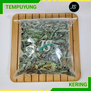 Daun Tempuyung Kering (500 gram) Murni Daun Herbal Organik