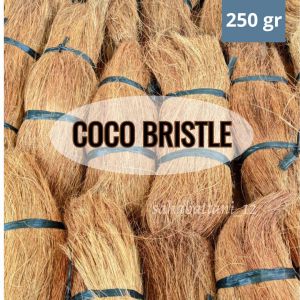 Cocobristle media tanam anggrek / serat sabut kelapa lurus