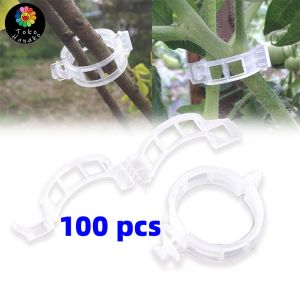 100pcs Klip Pengikat Batang Tanaman Klip Pengikat / Penopang Tanaman / Plant tie supporting Untuk Tomat Anggur Cabe