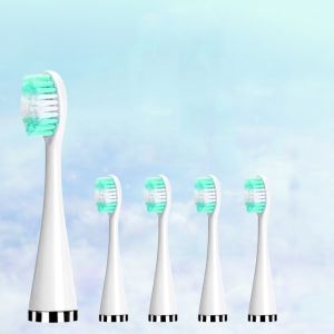 Electric Teeth Cleaner Ultrasonic Teeth Cleaner Teeth Cleaner USB Electric Toothbrush Tartar Remover