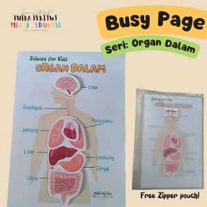 BUSY PAGE Seri Belajar Organ Dalam Tubuh Velcro Kreatif Murah