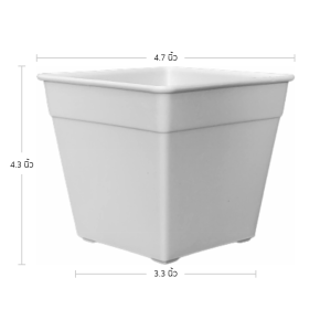 กระถาง กระถางแคคตัส กระถางสี่เหลี่ยม ขนาด 5 4.6 นิ้ว สีขาว 50 ใบ ชิ้น อัน