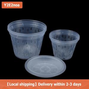 【Local shipping】 1Pc Flowerpot Garden Planter Drainage Pots with Holes Transparent Orchid Baskets Plastic Breathable Flower Pots Accessories
