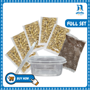 nanapetshop Cat Grass Set DIY Cat Grass Seed Cat Grass Kit Hairball Solution Biji Benih Rumput Kucing Senang Tanam 猫草 貓草