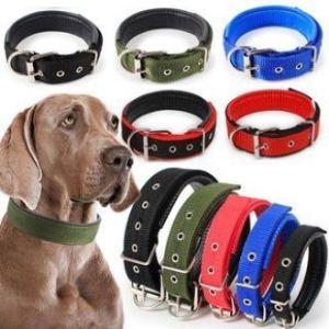 Dog Collars Pet Collars Color Foam Pet Collars Adjustable