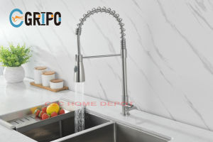 GRIPO High End 304 Stainless Spring Vertical Kitchen Faucet (GP1160)
