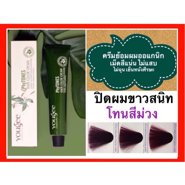 Yougee Phytones Hair Color Cream 100ml. ยูจี ครีมเปลี่ยนสีผม ออแกนิก