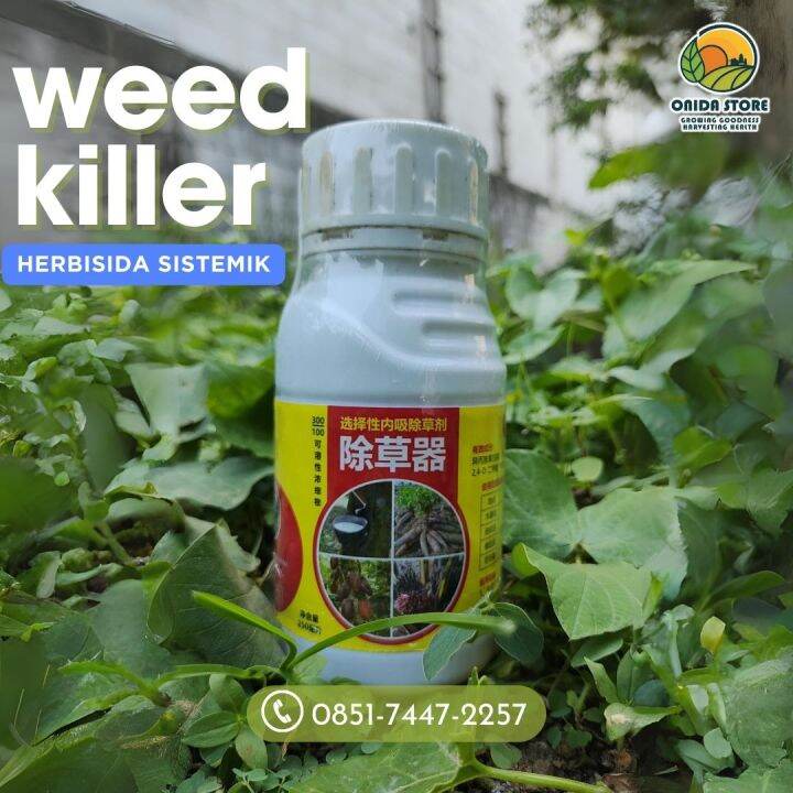 HERBISIDA SISTEMIK SELEKTIF WEED KILLER PEMBASMI GULMA DAUN LEBAR ...