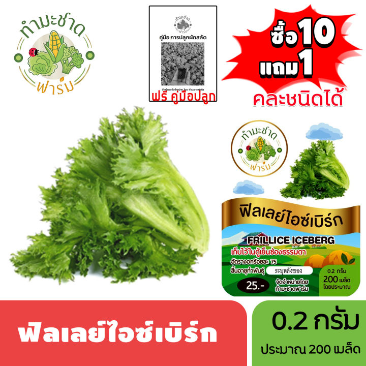 เมล็ดพันธุ์ ฟิลเลย์ไอซ์เบิร์ก ทำมะชาดฟาร์ม ปลอดสารเคมี