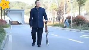 Senior Tungkod With Chair Adjustable Height Quad Cane Foldable Cane