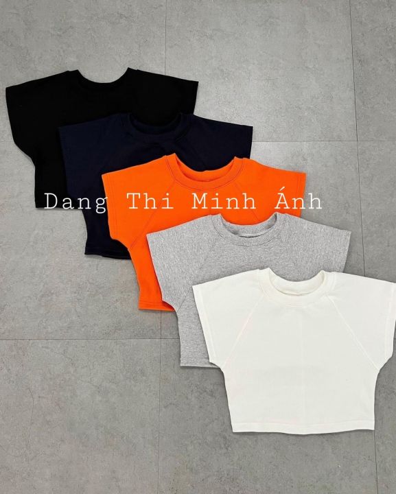 Áo Thun Nữ, Áo Kiểu Nữ, Áo Cổ Tròn, Áo Cánh Dơi, Tay Ngắn, Vải Gân Co ...