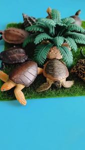 2025 Educational Miniature Turtle Model Childrens Toy Realistic Land And Sea Turtle Cognitive Display Ornament Landscape DecorationKLD