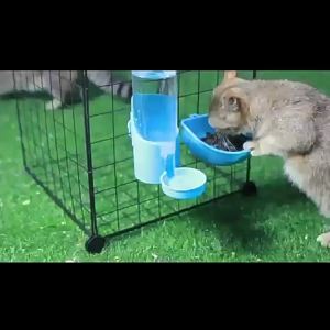 Cat Hanging Water Dispenser Cat Bowl Cat Basin Automatic Feeding Water Feeder Rabbit Hanging Cage Water BottleSupplies