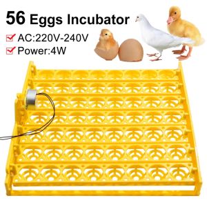 24H delivery& COD 220V 56 Eggs Incubator Turn Tray Poultry Incubation Equipment Chickens Poultry Incubator Automatically Turn Eggs Automatic Eggs Incubator Tool for Quail Pigeons Chickens Ducks Geese