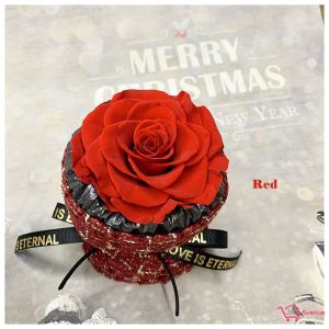 Preserved Flower Rose Mini Bouquet - Perfect Gift for Birthday Mother Day Teachers Day