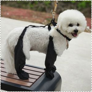 รองเท้าสัตว์เลี้ยง น่ารัก รองเท้าผ้าใบ บาง สัตว์เลี้ยงและการทําสวน สะดวกสบาย กันน้ำ ทนต่อการสึกหรอ