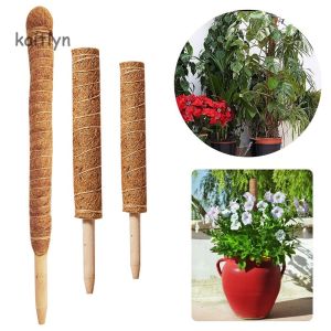 30/40/50cm Coir Moss Totem Pole Creeper Support Climbing Extension Stick