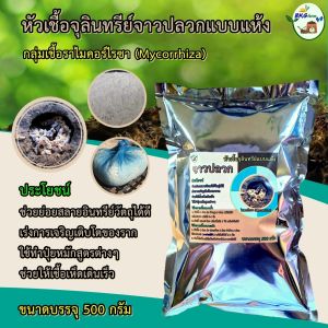 หัวเชื้อจุลินทรีย์จาวปลวกแบบแห้ง หัวเชื้อจุลินทรีย์แบบแห้ง