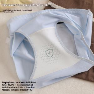 High-Waisted Plus Size Womens Underwear with Extended Cotton Crotch for Comfort