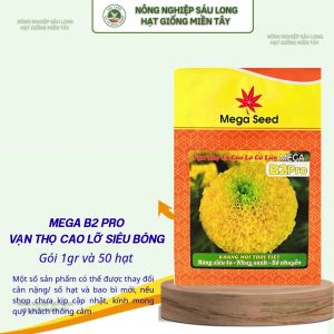 Hạt Giống Vạn Thọ F1 MEGA B2 Pro – Vàng Chanh Cổ Lùn Bông To – Mega Seed