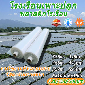 พลาสติกโรงเรือน พลาสติกใส พลาสติกคลุมโรงเรือน 200 micron thick PE plastic greenhouse greenhouse plastic greenhouse cover clear plastic greenhouse rain cover canopy