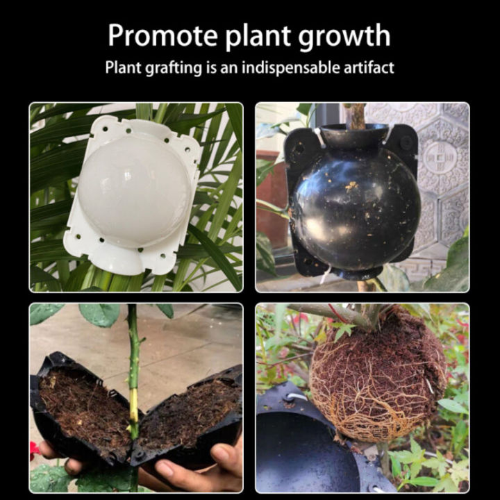 1pcs 5cm/8cm/12cm Fruit Plant Tree Rooting Ball Root Box Plastic Case ...