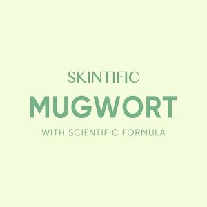 Mugwort Acne Clay  - for Oil Control & Reducing Redness