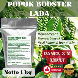 Pupuk Booster Lada Pelebat Organik Cepat Berbuah Lebat Besar Anti Rontok Pembesar Lada