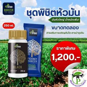 4Treeชองแท้ ชุดพิชิตหัวมัน สารเสริมประสิทธิภาพพืชสูตรอิออน เร่งราก โตเร็ว เขียวนาน เพิ่ม%น้ำยางเพิ่มค่าแป้ง ของแท้100%