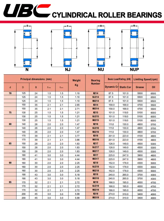N214%20UBC%20%E0%B8%95%E0%B8%A5%E0%B8%B1%E0%B8%9A%E0%B8%A5%E0%B8%B9%E0%B8%81%E0%B8%9B%E0%B8%B7%E0%B8%99%E0%B9%80%E0%B8%A1%E0%B9%87%E0%B8%94%E0%B8%97%E0%B8%A3%E0%B8%87%E0%B8%81%E0%B8%A3%E0%B8%B0%E0%B8%9A%E0%B8%AD%E0%B8%81%20N214EM%20(%20Cylindrical%20Roller%20Bearings%20)%20N214%20EM%20-%20Image%203