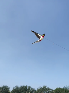 Dynamic Kites 3D Fishing Rod Line Kites Micro Kites Easy Flying Toy Frameless Kites Popular Beach Activity Parent-Kids Favor