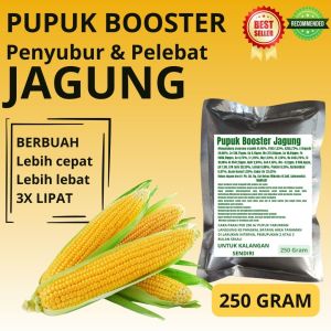 Pupuk Booster Jagung / Obat Booster Jagung / Pupuk Booster Jagung / Pupuk Jagung